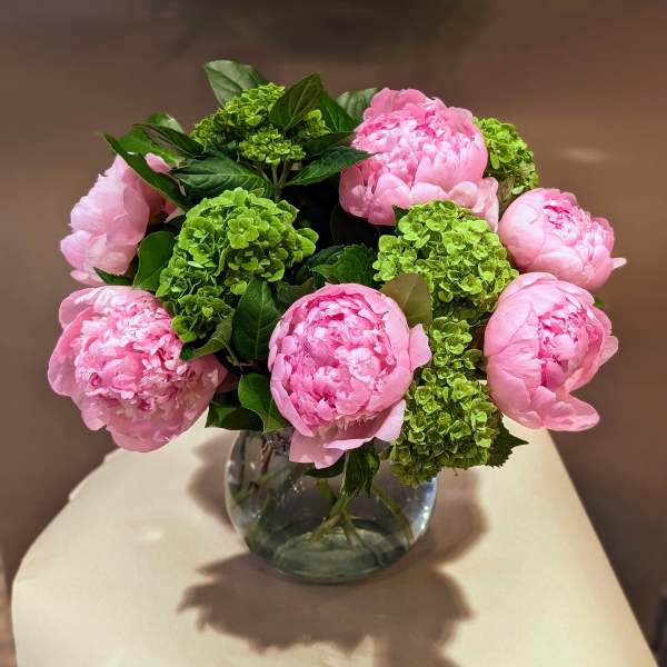 Pink peonies and green hydrangeas arranged in a glass vase