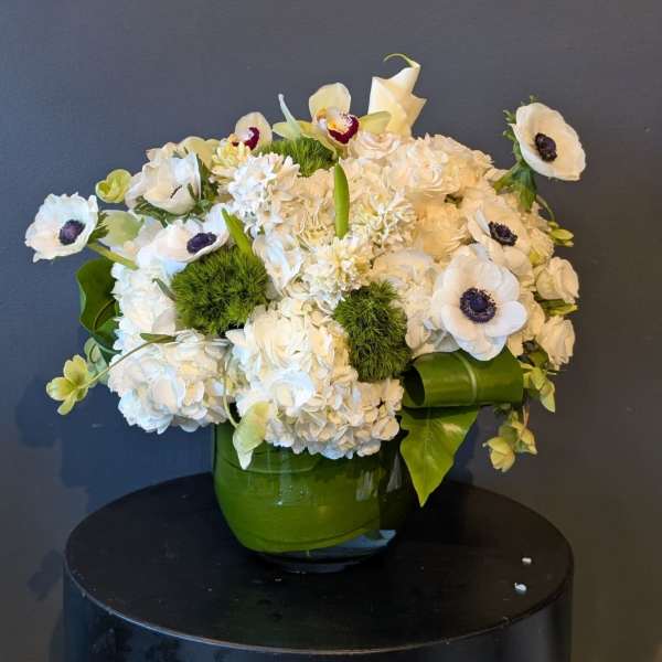 Super Premium Imported White Lux Design