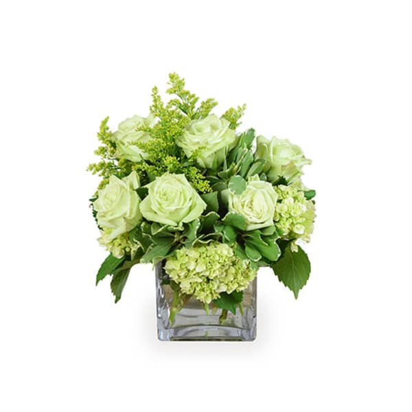 Pale green roses and hydrangeas arranged in a clear glass vase