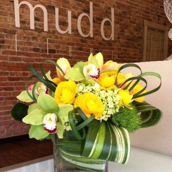 Petit Sexy Citrus Design