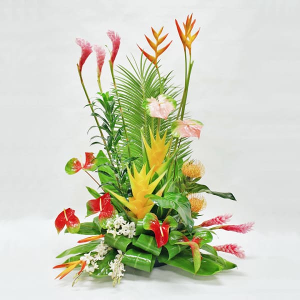 Tropical Pa'ina (Grand Opening/Stage Piece)