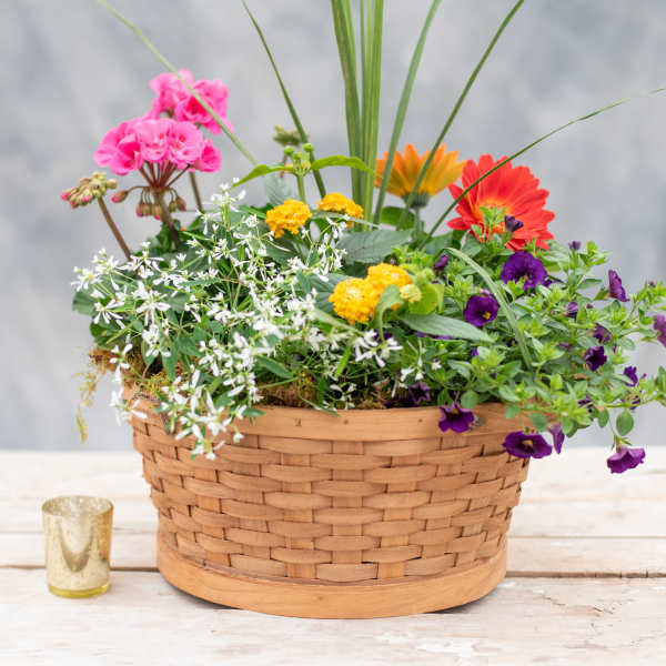 Summer English Garden