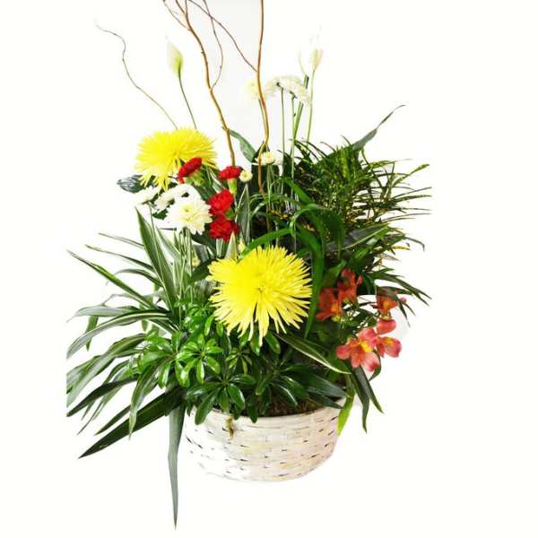 Sympathy Green Planter With Fresh Flowers