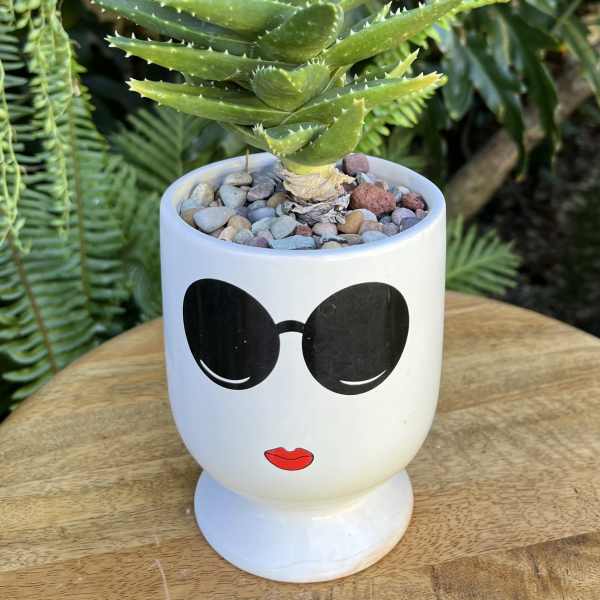 Potted succulent in a white face planter with sunglasses and red lips