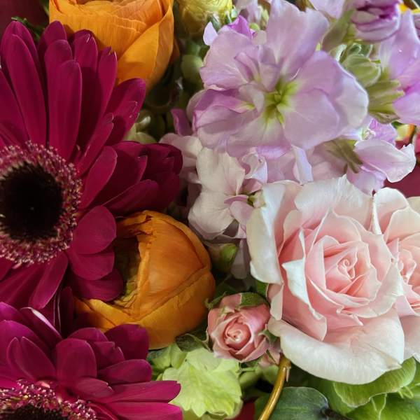 Close-up bouquet of pink roses, magenta daisies, and orange blooms