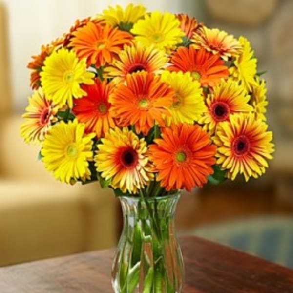 Bouquet of yellow and orange gerbera daisies in a clear glass vase