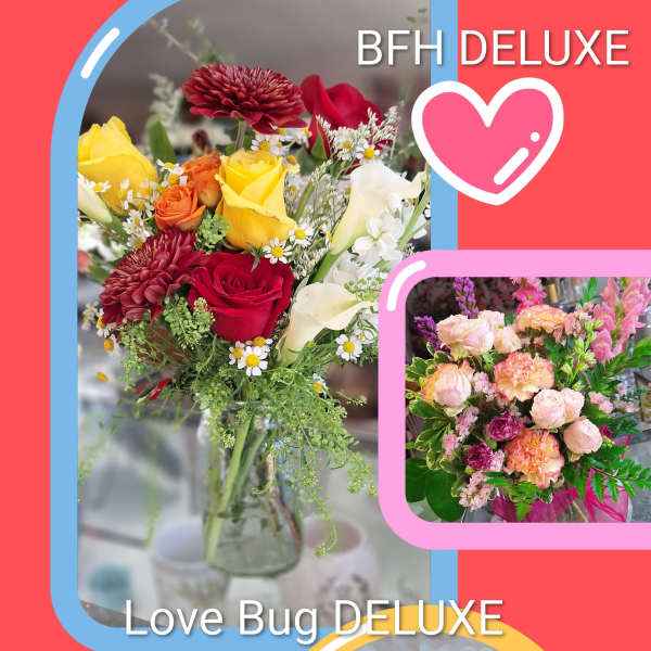 Vday- LOVE BUG DELUXE