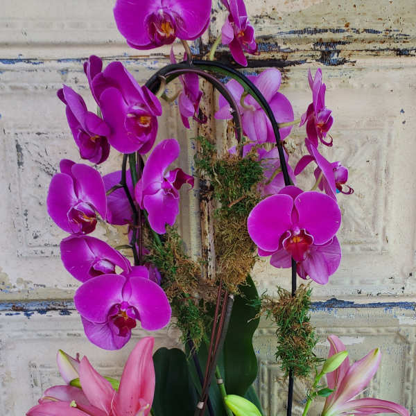 Pink orchids and lilies arranged in a floral pot
