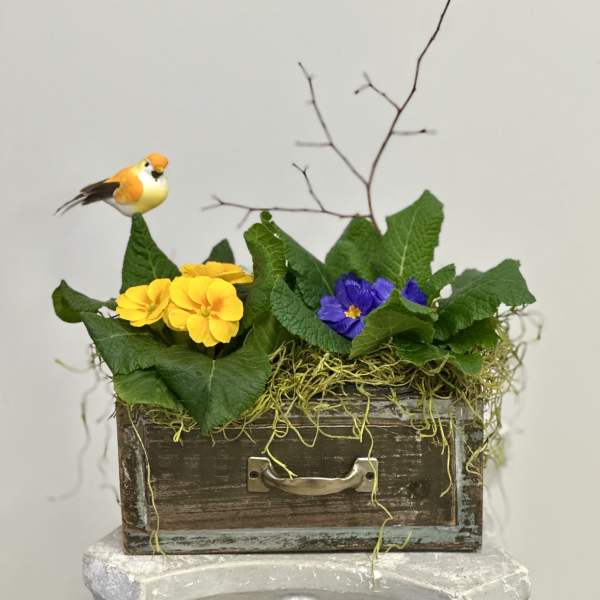Primrose Paradise Garden by Westford Florist Art by Veny