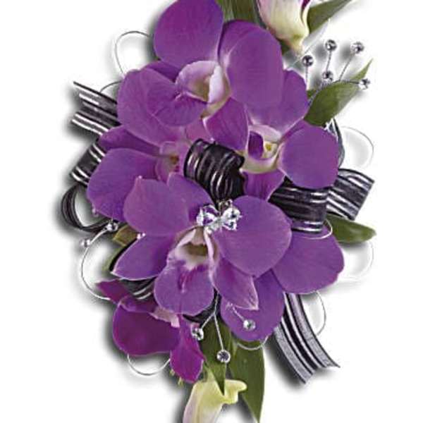 Purple orchid corsage with black ribbon and silver accents