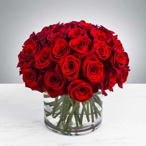 Red roses arranged in a clear glass vase