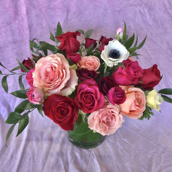 Mixed pink and red roses in a glass vase with greenery