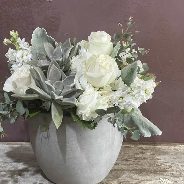 White roses and succulents arranged in a gray pot