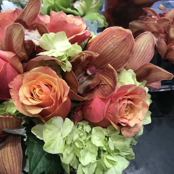 Chiltern Hills Beauty