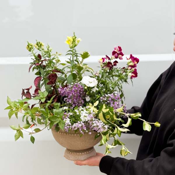 Seasonal Flower Garden