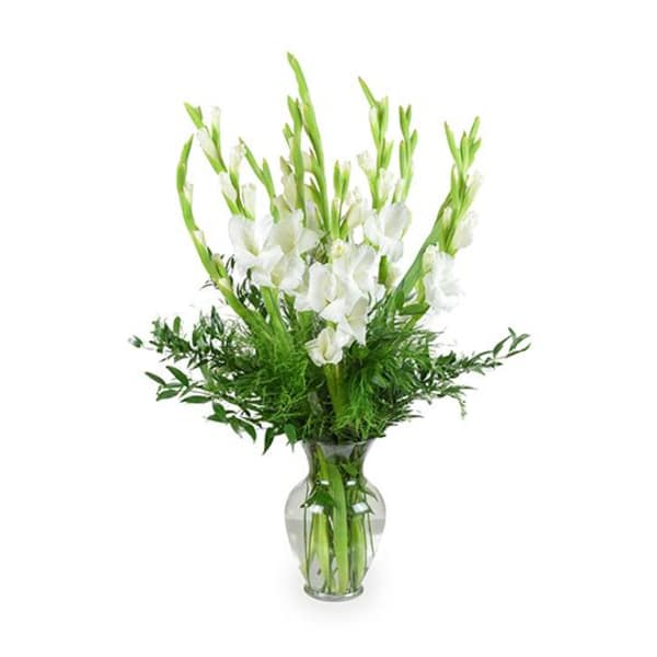 White gladiolus arrangement in a clear glass vase