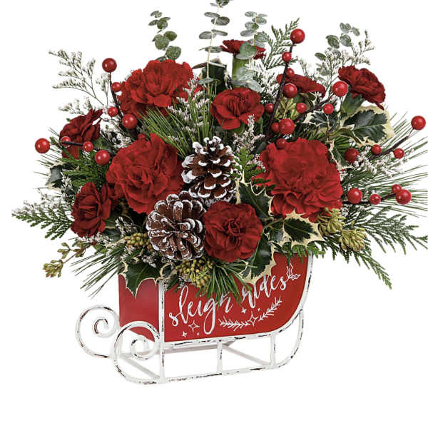 Red carnations and pinecones in a sleigh-shaped container