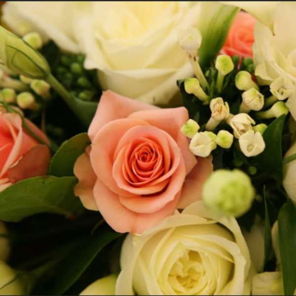 Bouquet of peach and white roses with small white filler flowers