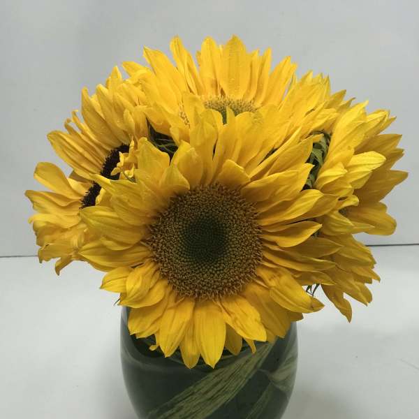 Bouquet of yellow sunflowers in a glass vase