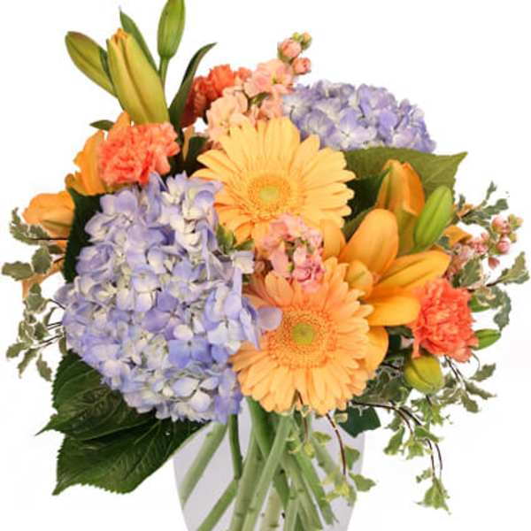 Mixed bouquet of orange gerberas, blue hydrangeas, and lilies in a glass vase