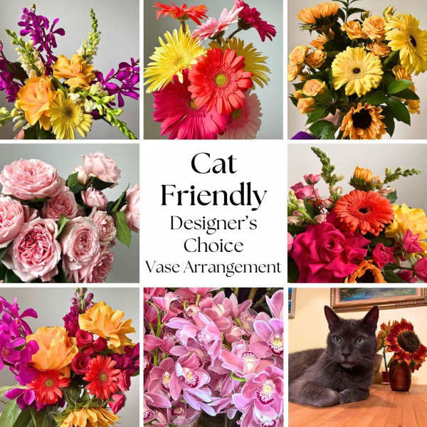 Collage of bright cat-safe mixed flower vase arrangements and a gray cat.