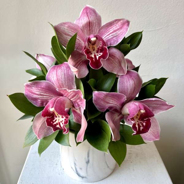 Pink orchids arranged in a white ceramic pot