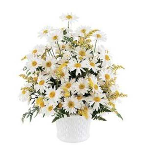 White daisy bouquet in a white vase