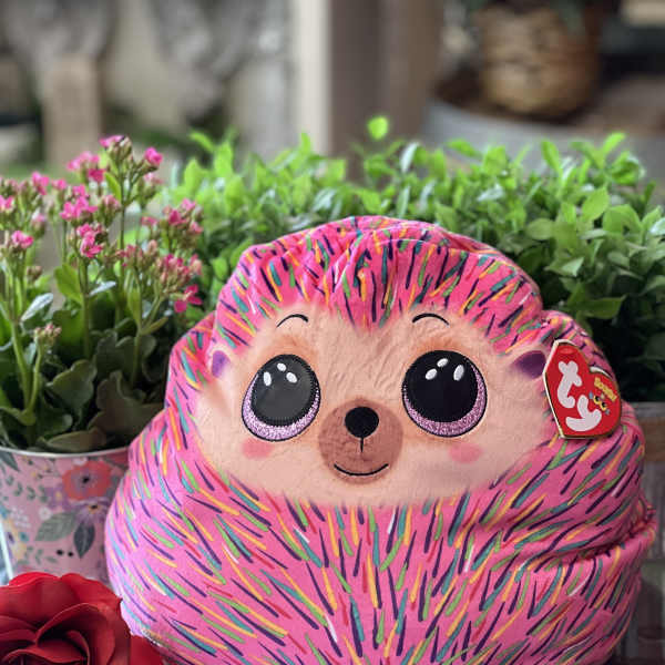 Pink plush hedgehog toy with a red rose and potted flowers behind it