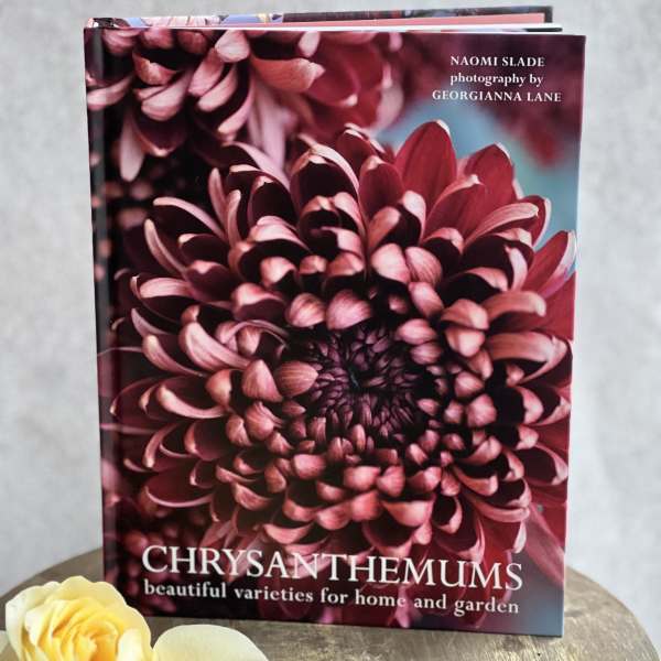 Chrysanthemums Book