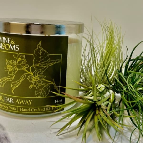 Scented candle in a glass jar with air plants beside it