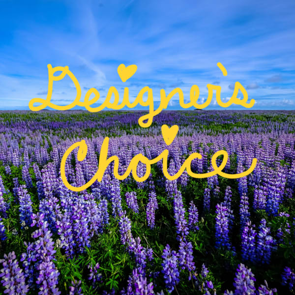 Designer's Choice #2