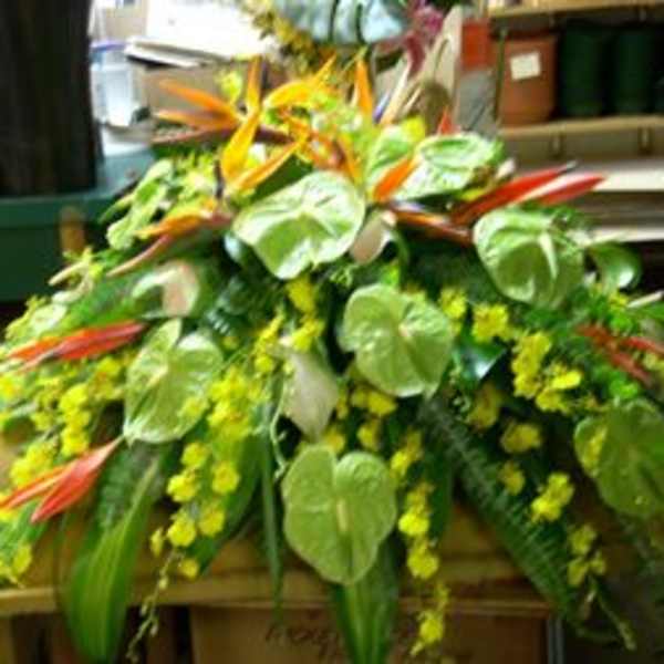 Tropical floral arrangement with orange bird-of-paradise and green anthurium
