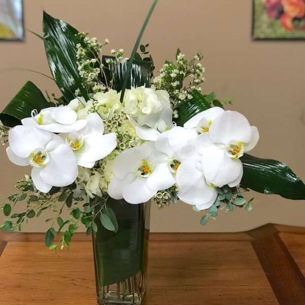 White orchids arranged in a tall glass vase with dark green leaves
