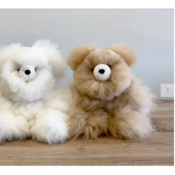 Two fluffy teddy bears, one white and one tan, sitting side by side
