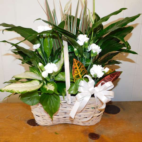 White carnations and tropical foliage in a wicker basket with a white bow