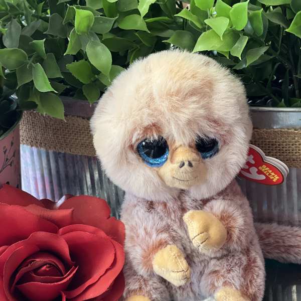 Stuffed monkey beside a red rose in a gift box