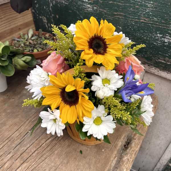 Sunflower and daisy bouquet in a small basket