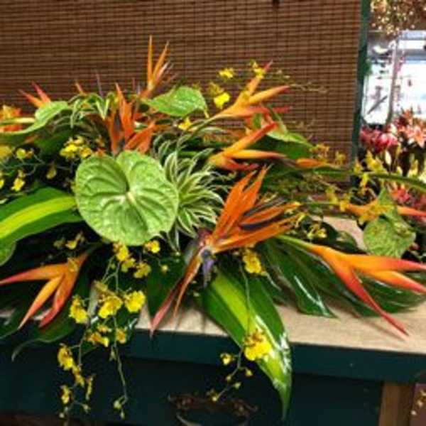 Sympathy Arrangements51/ 5-7 Days