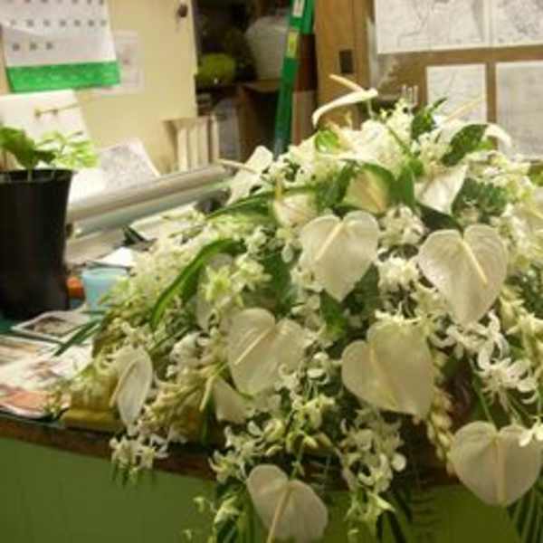 Sympathy Arrangements18/ 5-7 Days