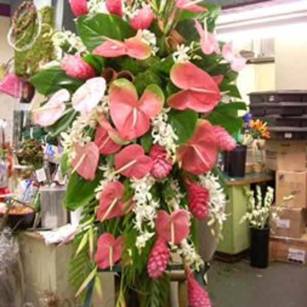 Tall tropical arrangement with pink anthuriums and white flowers
