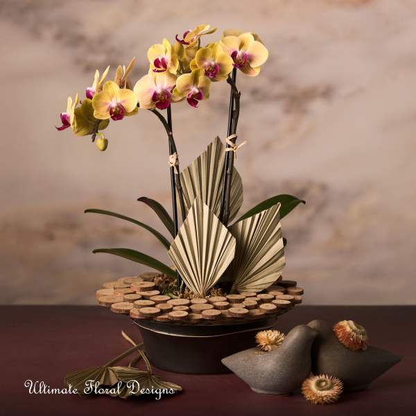 Yellow and purple orchids arranged in a low decorative bowl