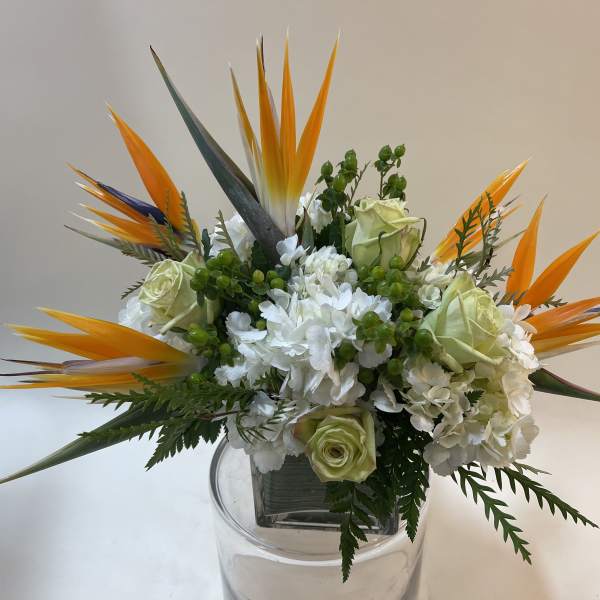 Paradise Is Very Nice