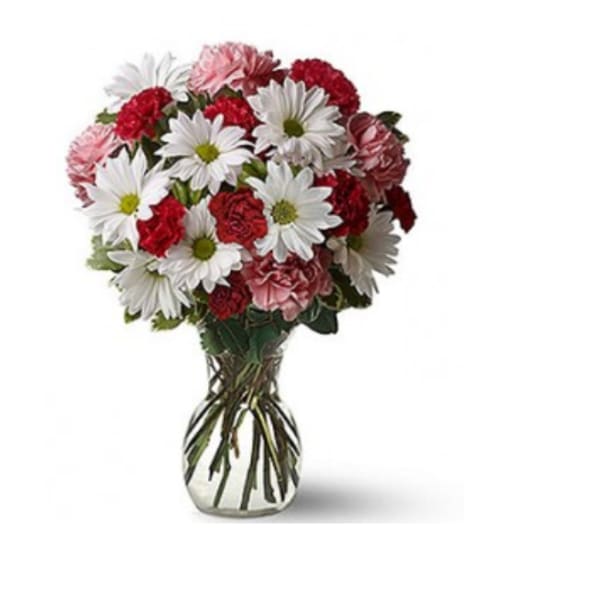 Daisy Charm Elegance