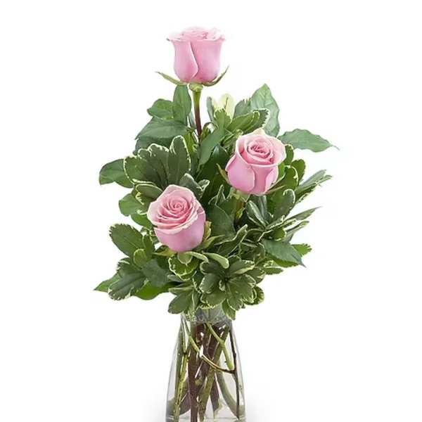 Pink roses arranged in a clear glass vase with greenery