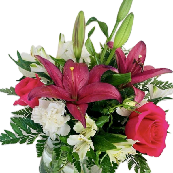 Lillies from the Fields