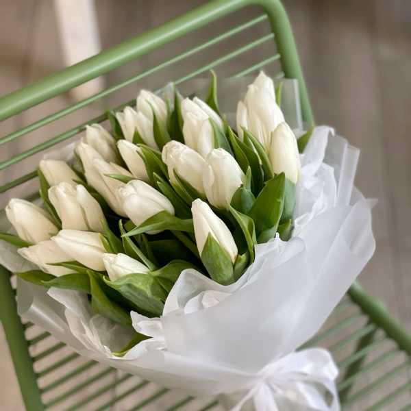 Bouquet of white tulips wrapped in white paper with a ribbon