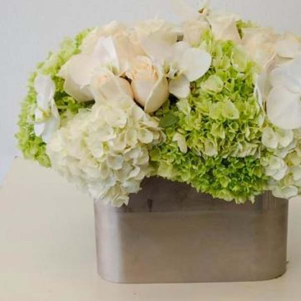 White and Green Hydreangeas