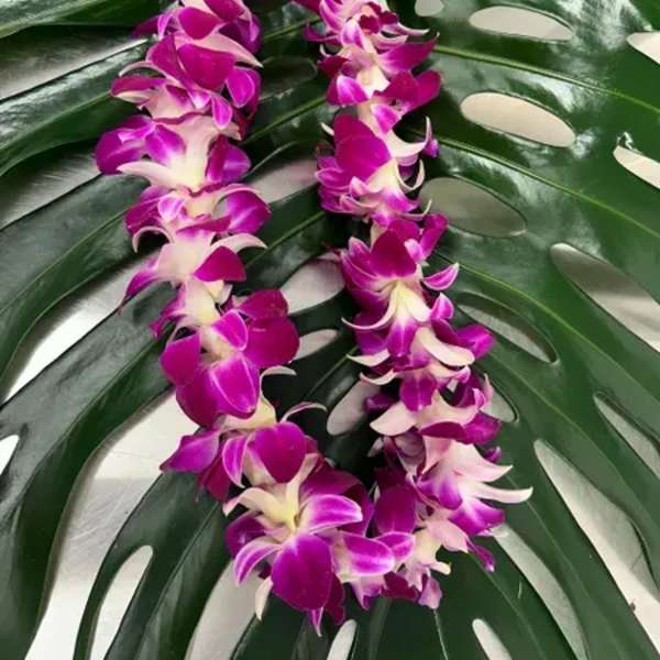 Purple orchid lei on large split-leaf greenery