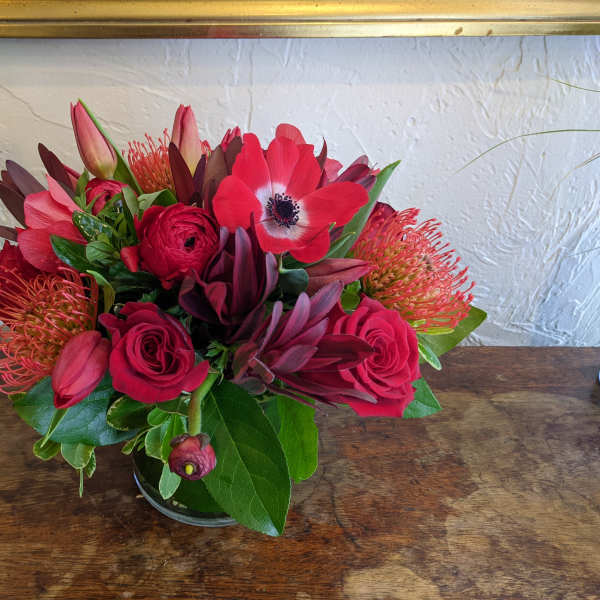 Monochrome Designer's Choice - Red