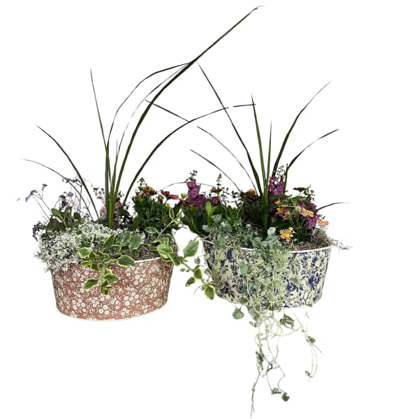 Tabletop Planter